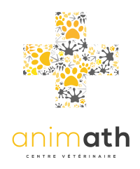 logo_animath_footer_dark